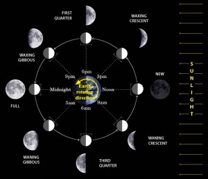 moon_phases_diagram-300x259.jpeg